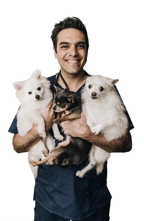 Dr Hootan holding his three dogs